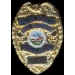 SAN CLEMENTE, CA POLICE DEPARMENT BADGE PIN